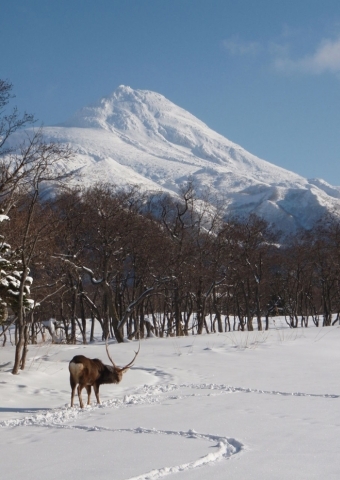 雪と静寂の世界　冬の知床五湖を歩くエコツアー開始