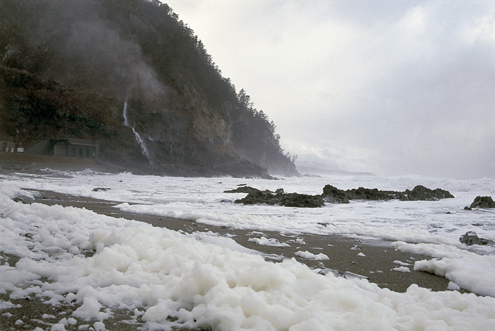 波が高く寒い日、植物性プランクトンの粘液が岩にぶつかって空気を含んでできる「波の花」　©石川県観光連盟