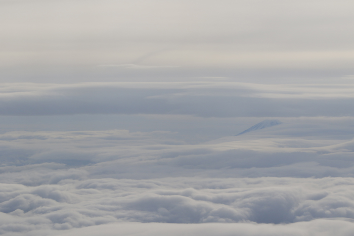 空から富士山を楽しむ周遊飛行ツアー