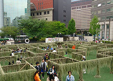 都市空間に「迷宮植物園」が出現