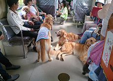 「わんわん列車」で愛犬と鉄道の旅