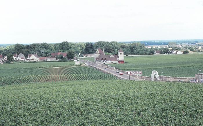 【写真1】フランス・ブルゴーニュ地方のディジョン周辺におけるワイン生産の村（2004年8月撮影）　村にはワインを生産する農家や農家民宿、農家レストランなどが立地し、その周りにはブドウ畑が広がって、ワインツーリズムの地域がつくりだされている