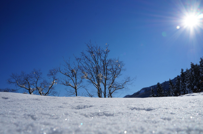 湯沢町の雪景色
