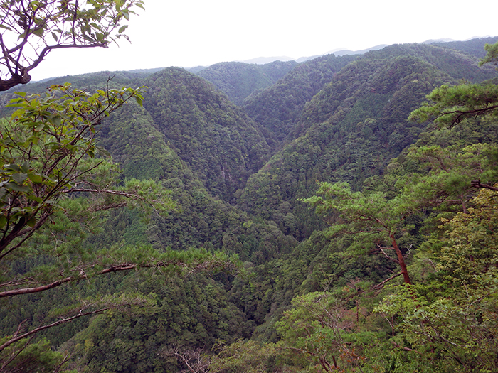 長坂山トレッキングコース山頂付近からの渓谷の眺め