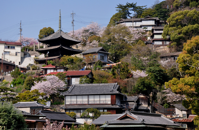 春の天寧寺三重塔（尾道市）　写真提供：広島県