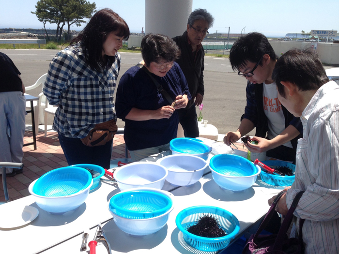 岩手県洋野町でのウニのカラ剥き体験実施から見えてきたこと