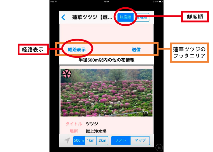 花の最新情報をタクシー運転手たちが写真で伝える ――「花なび」が発信する京の花情報のイノベーション――