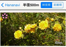 花の最新情報をタクシー運転手たちが写真で伝える   　――「花なび」が発信する京の花情報のイノベーション――