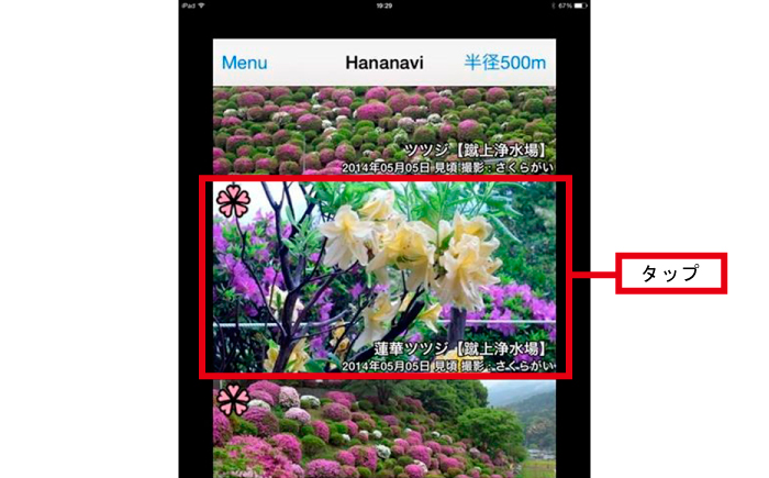 花の最新情報をタクシー運転手たちが写真で伝える ――「花なび」が発信する京の花情報のイノベーション――