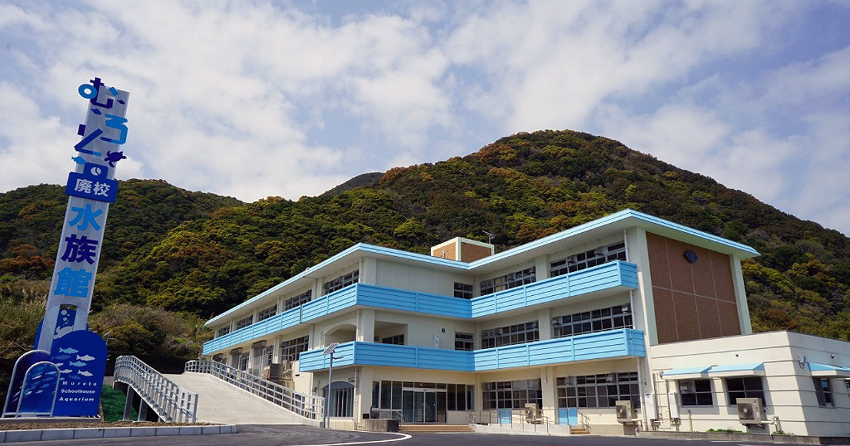 小学校が水族館に！ 「むろと廃校水族館」半年間で来館者10万人突破 | 新しい観光をつくる手法や可能性を探るサイト | 観光Re:デザイン